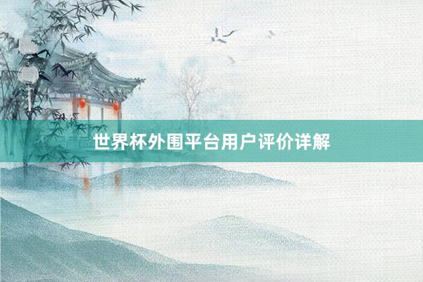 世界杯外围平台用户评价详解